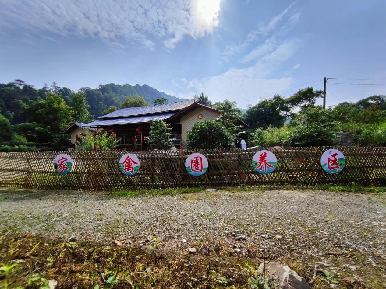 马鞍镇：观摩互评推动人居环境提质增效