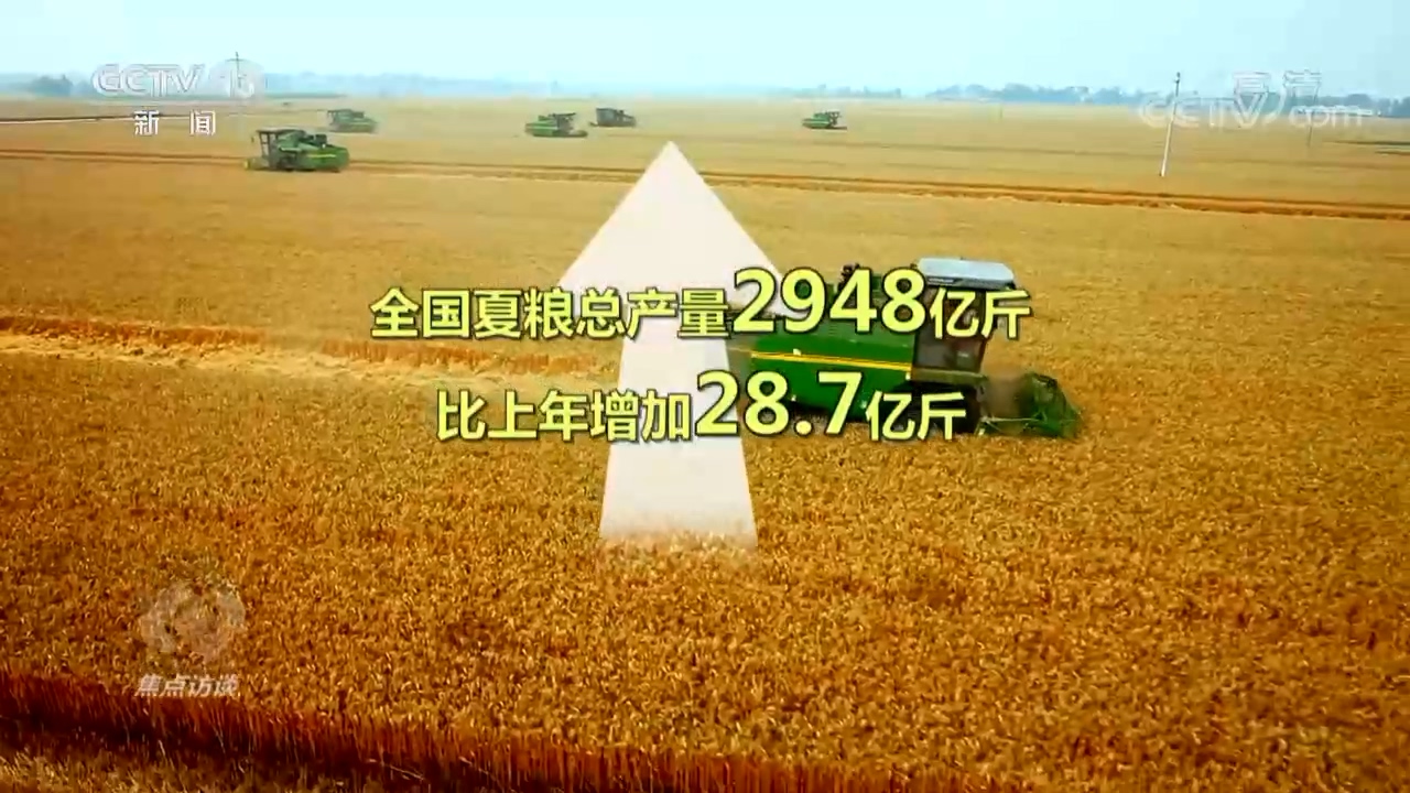 焦点访谈：领航 总揽全局 稳中求进