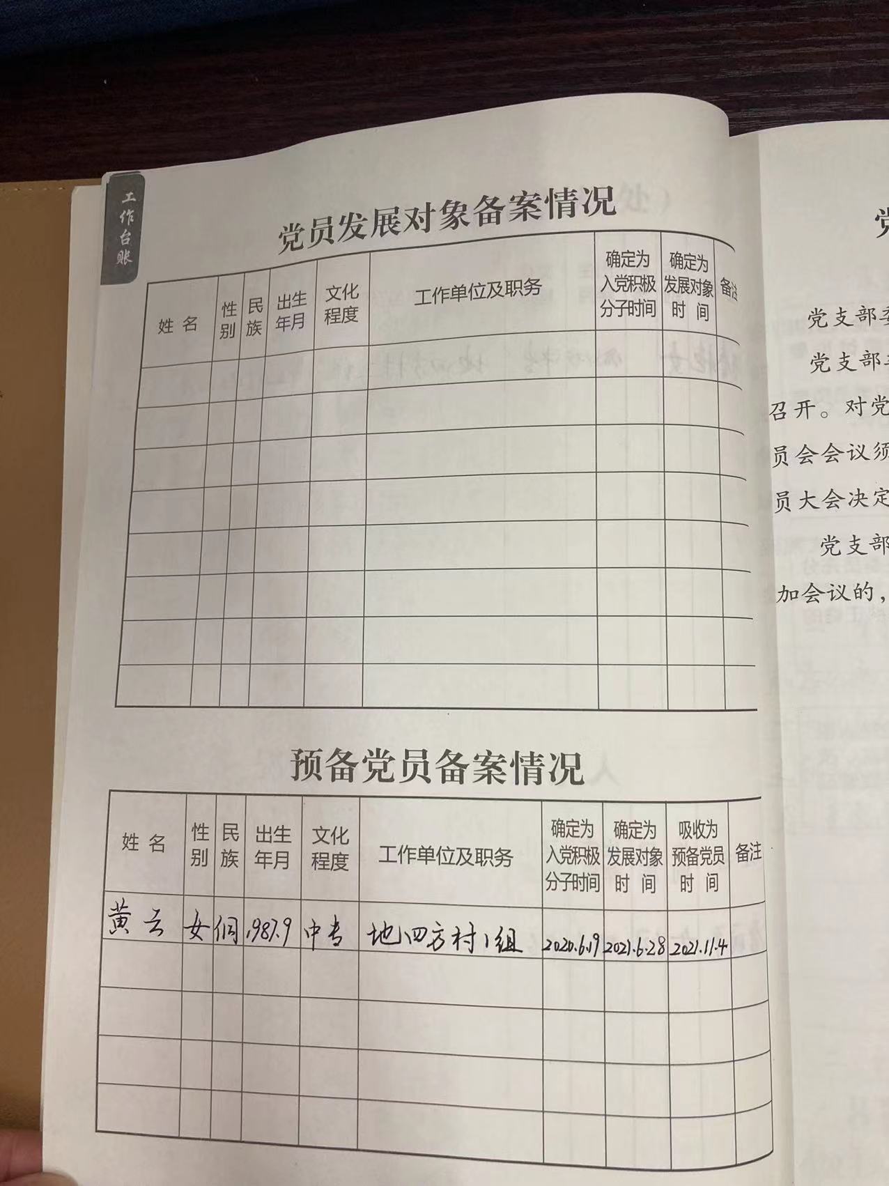 地四方村入党申请人/入党积极分子/预备党员备案情况