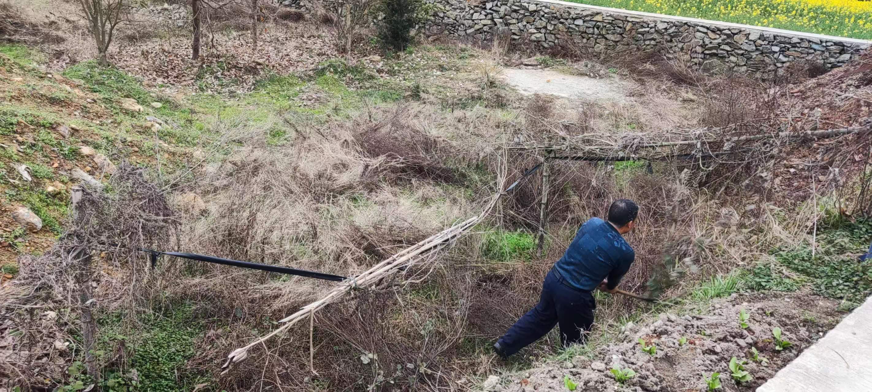 【田长制】农田耕地抛荒治理
