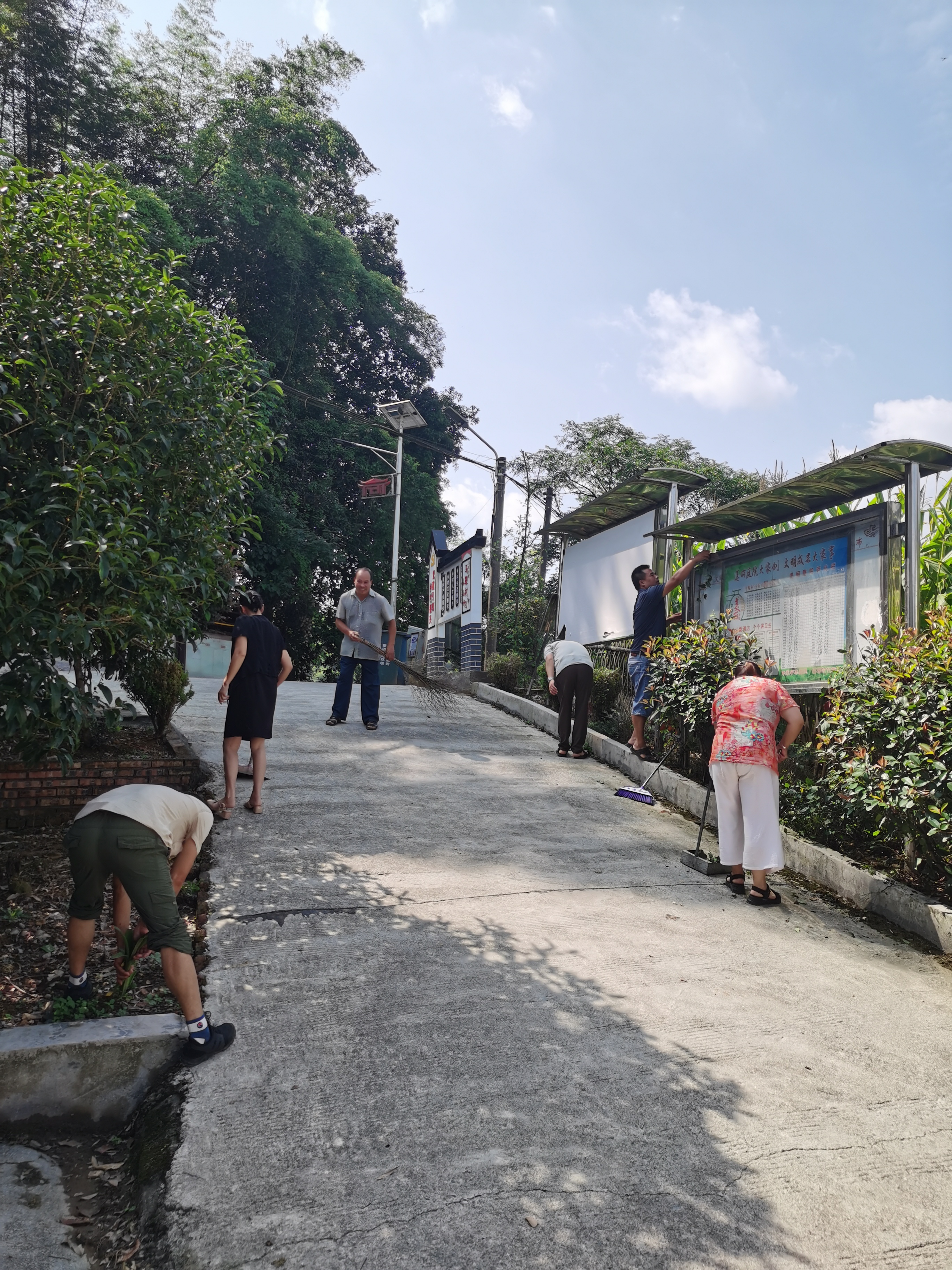 马鞍村8月主题党日活动