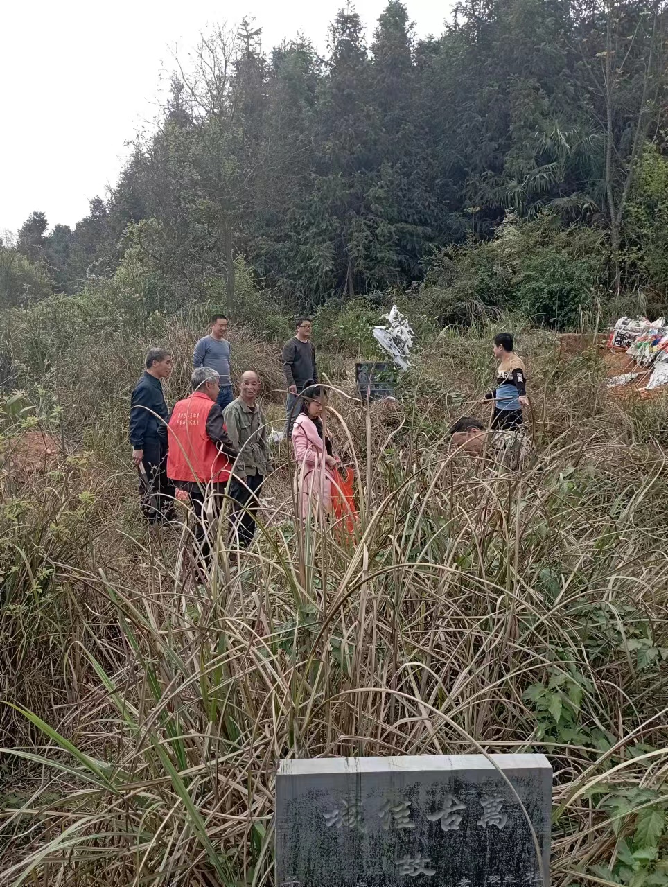 连山村清明劝导文明祭扫