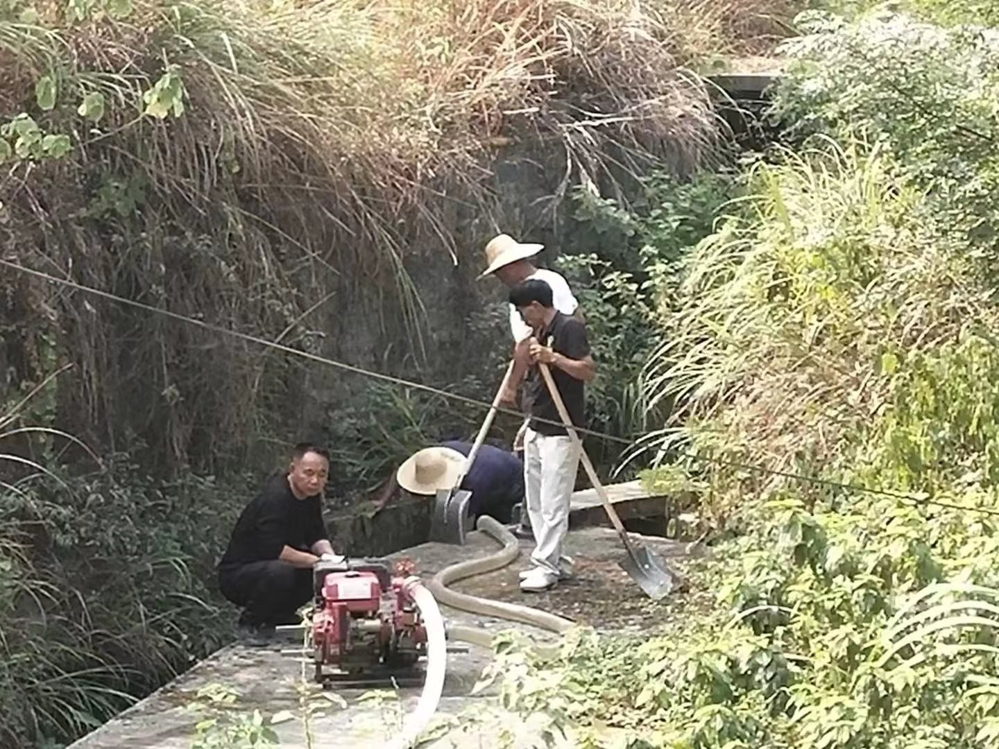 大桥村新时代文明实践服务项目
