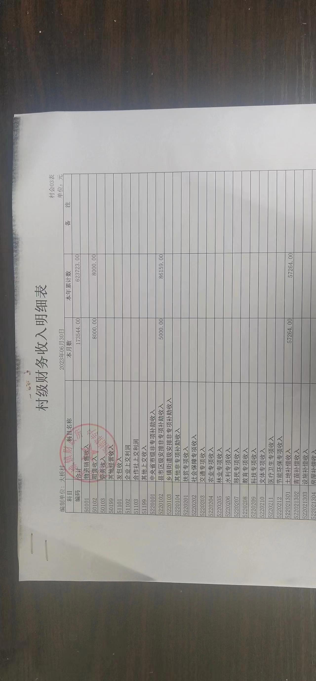 大桥村村务公开之村级财务