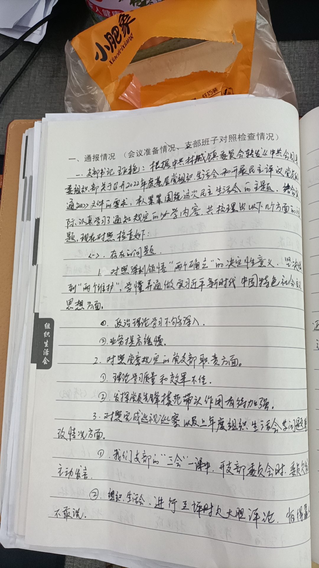 鹰嘴界村2022年度基层党组织生活会