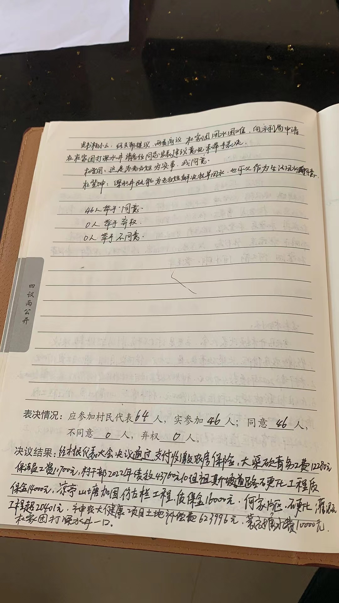 大坪村村报账