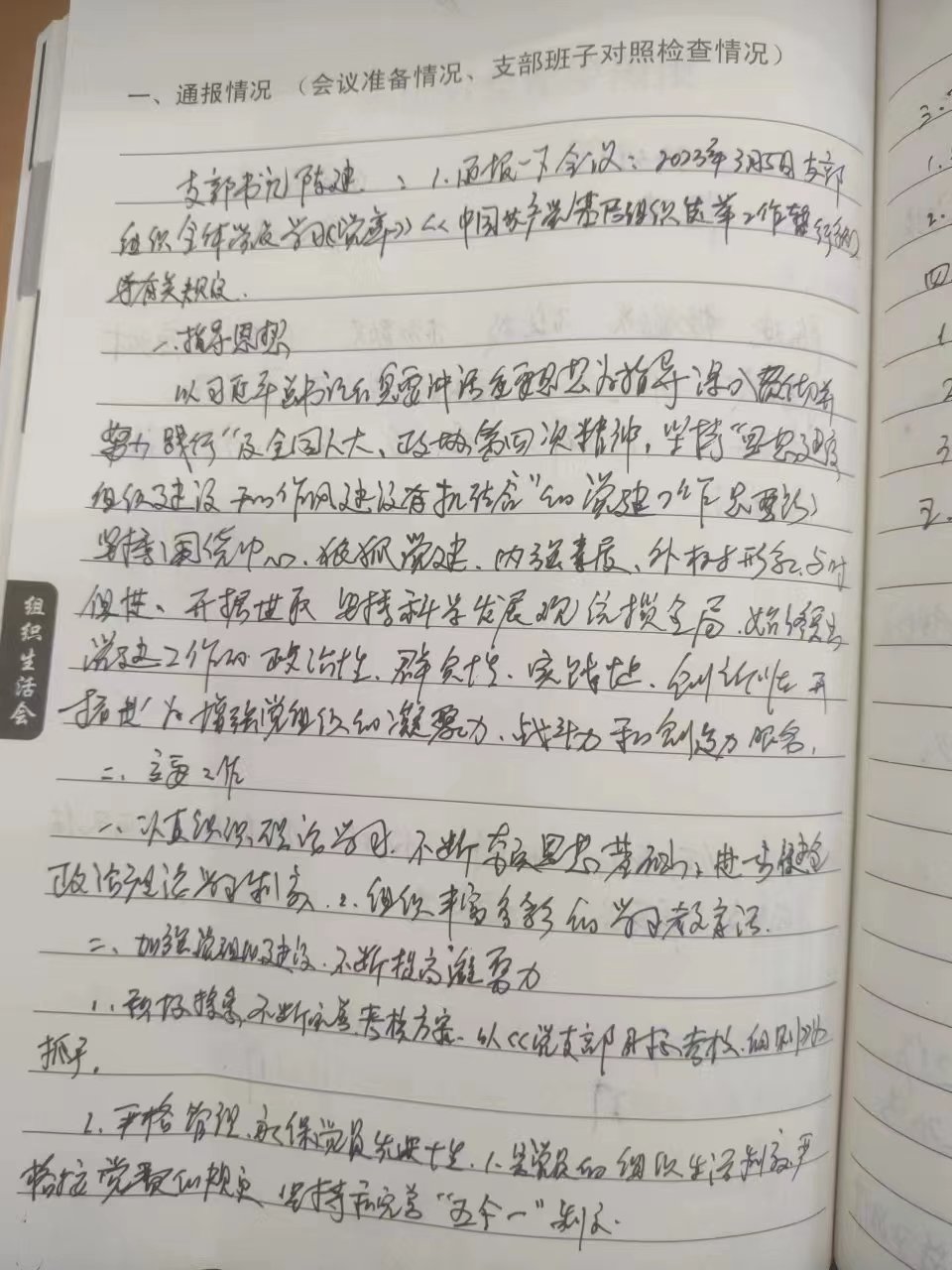 茶溪村组织生活会