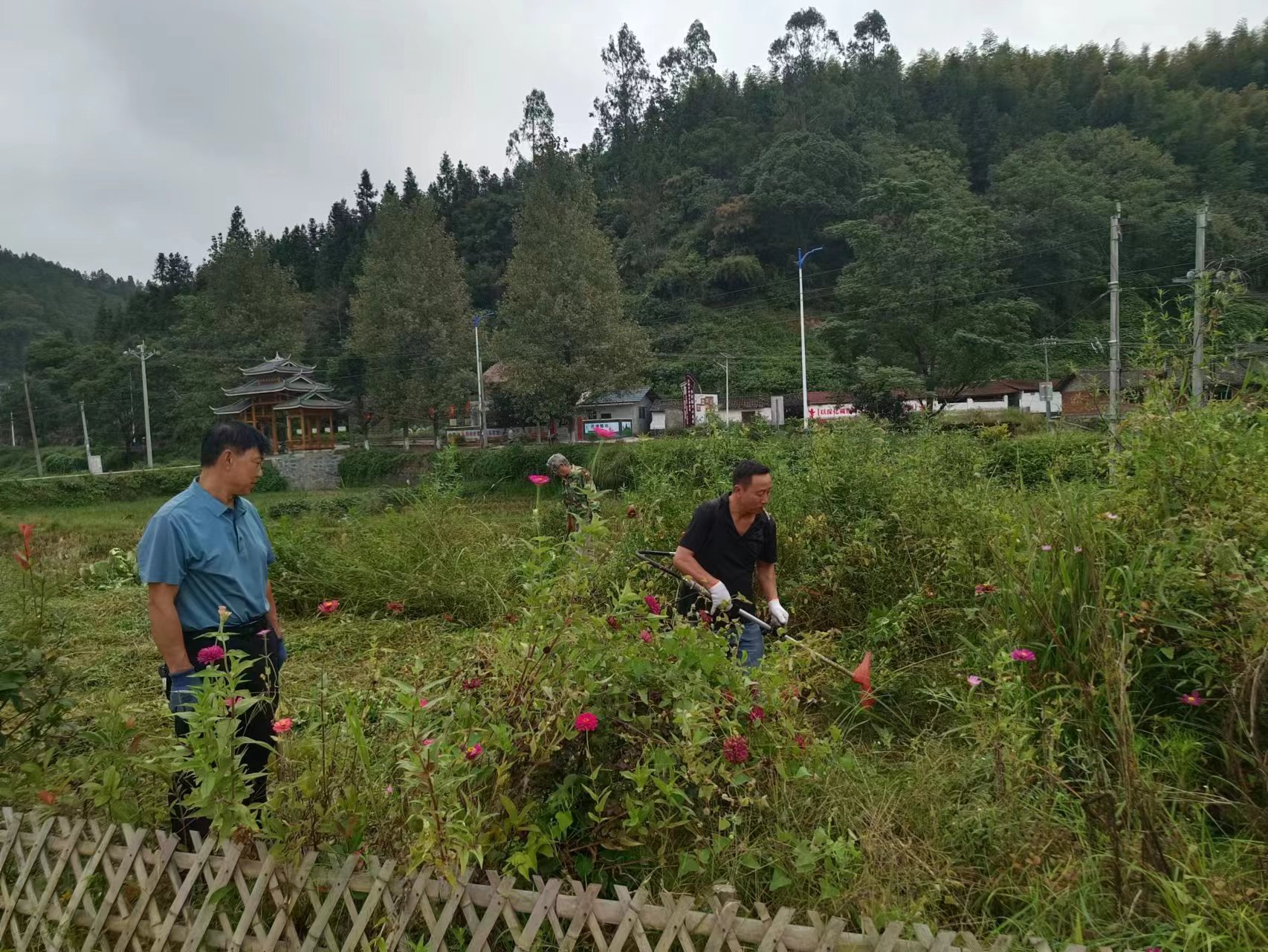 沙溪村9月党员活动日