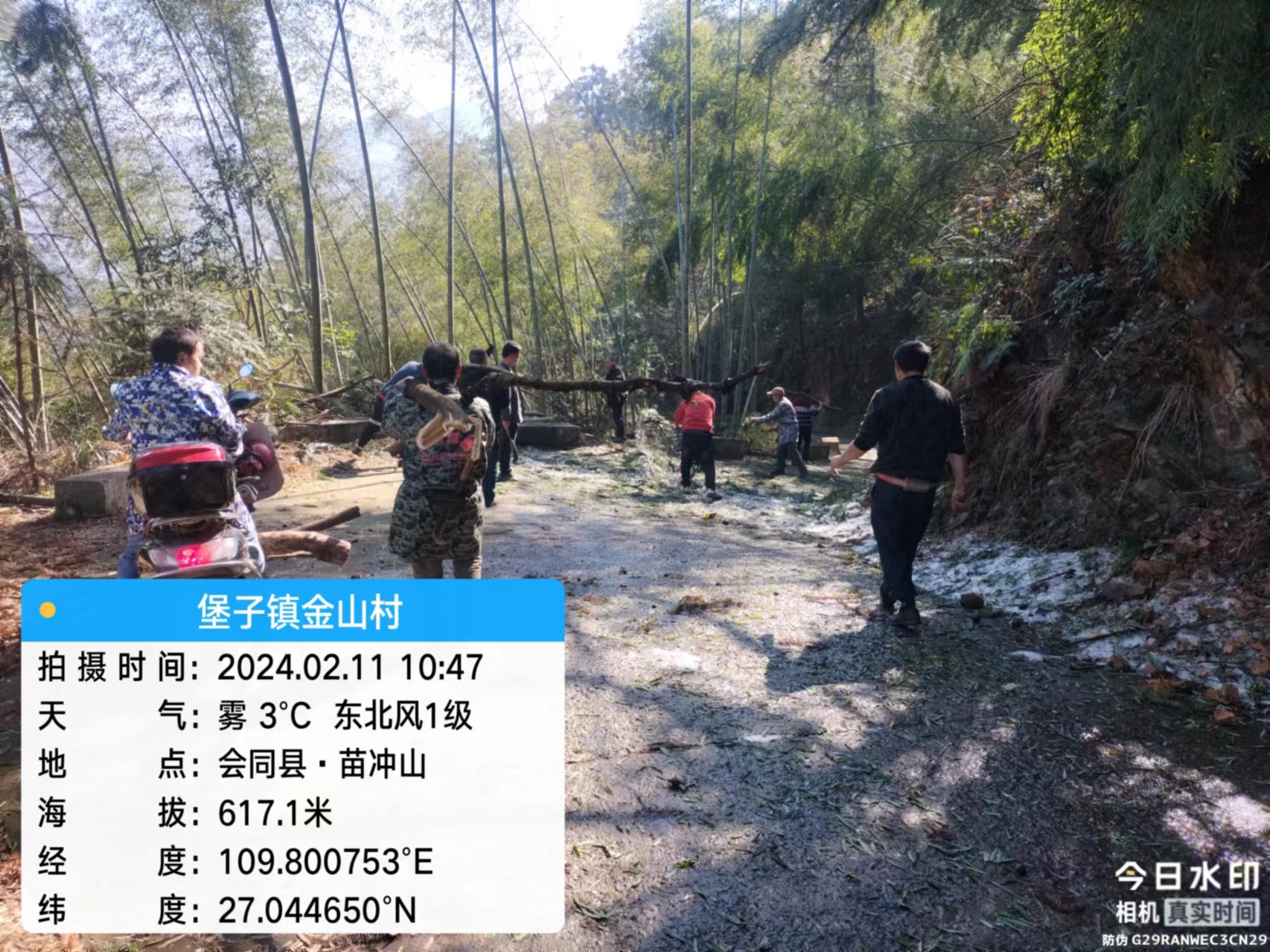 金山村村民代表联系服务群众之共抗冰冻灾害天气