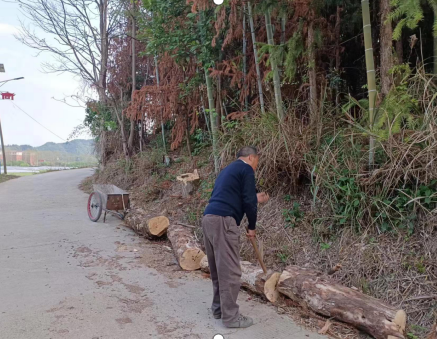 麻塘村村民代表服务群众工作纪实